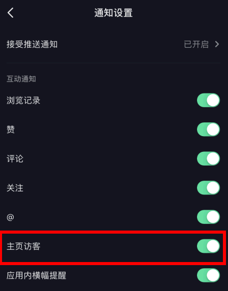 抖音主页访客打开了不显示是什么原因?