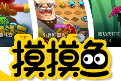 摸摸鱼为什么安装不了