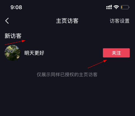 抖音访客记录能看到陌生人吗