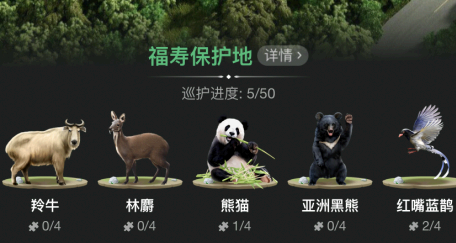 蚂蚁森林熊猫,羚牛、林麝、亚洲黑熊和豪猪领取攻略