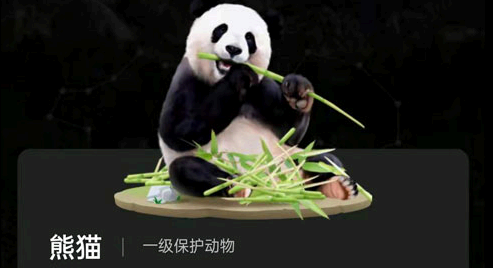 蚂蚁森林熊猫,羚牛、林麝、亚洲黑熊和豪猪领取攻略