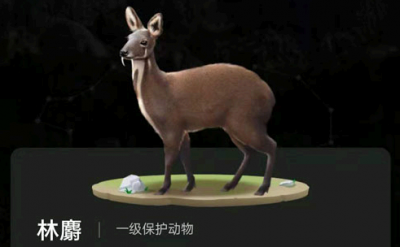 蚂蚁森林熊猫 羚牛、林麝、亚洲黑熊和豪猪领取攻略 蚂蚁森林福寿保护地有熊