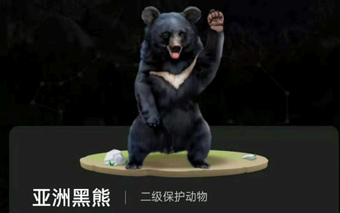蚂蚁森林熊猫,羚牛、林麝、亚洲黑熊和豪猪领取攻略