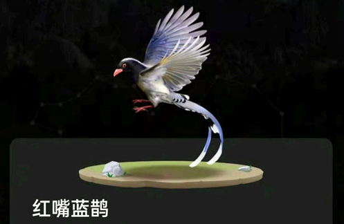 蚂蚁森林熊猫,羚牛、林麝、亚洲黑熊和豪猪领取攻略