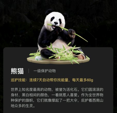 蚂蚁森林福寿保护地有熊猫吗?