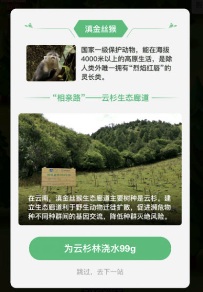 蚂蚁森林森友会蘑菇树获取方法攻略图解