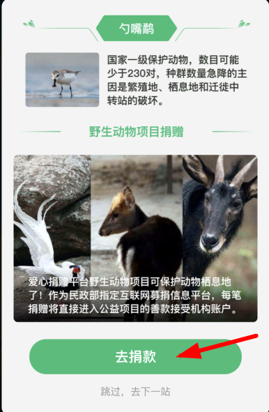 蚂蚁森林森友会蘑菇树获取方法攻略图解