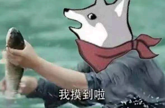 抖音网页版怎么样
