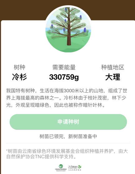 蚂蚁森林冷杉要多少克能量?