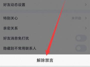 qq禁言怎么解除详细方法
