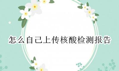 如何上传核酸检测报告 怎么自己上传核酸检测报告