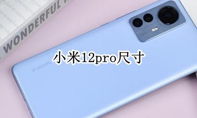 小米12pro尺寸 小米12pro图片和价格
