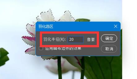 ps羽化用不了解决教程