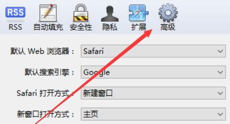 safari兼容性设置方法