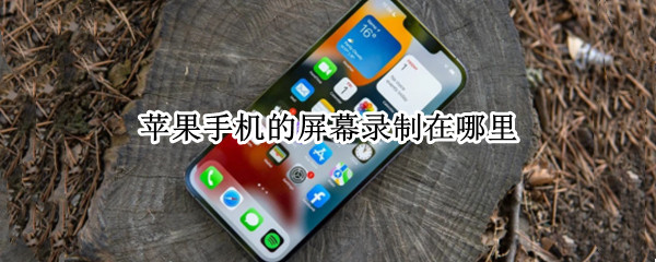 苹果手机的屏幕录制在哪里