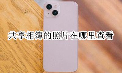 共享相册在哪里看照片 共享相簿的照片在哪里查看