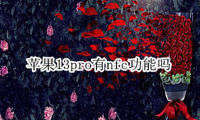 苹果13pro有没有nfc 苹果13pro有nfc功能吗