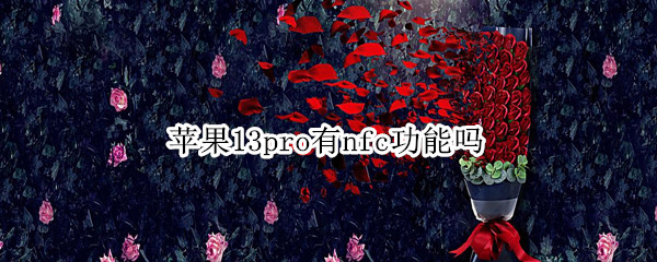 苹果13pro有nfc功能吗