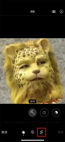 苹果手机几张照片合成一张怎么操作