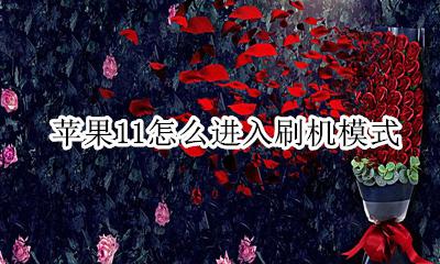 苹果11怎么进入刷机模式 苹果11手机怎么进入刷机模式