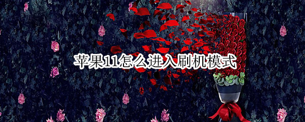 苹果11怎么进入刷机模式