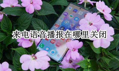 来电语音播报在哪里关闭 来电话语音播报怎么关闭