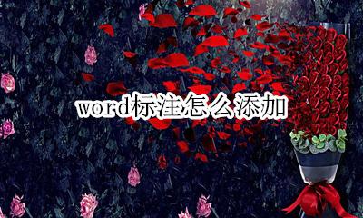 word标注怎么添加 word怎么加上标注