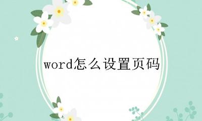 word怎么设置页码 word页码在哪里设置