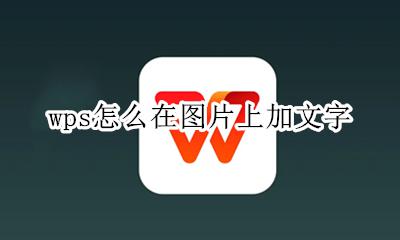 wps怎么在图片上加文字 怎么在wps图片上添加文字
