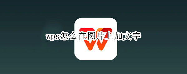 wps怎么在图片上加文字