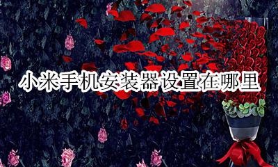 小米手机怎么设置安装 小米手机安装器设置在哪里