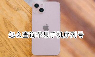 苹果手机序列号查询 怎么查询苹果手机序列号
