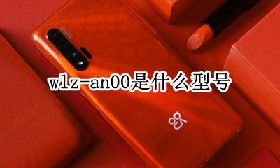 wlz-an00是什么型号 wlz-al00是什么型号