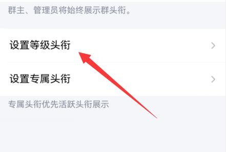 qq群头衔设置动态方法