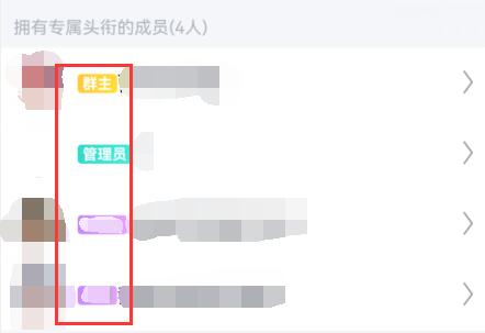 qq群头衔设置颜色方法