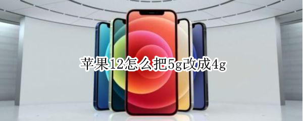 苹果12怎么把5g改成4g