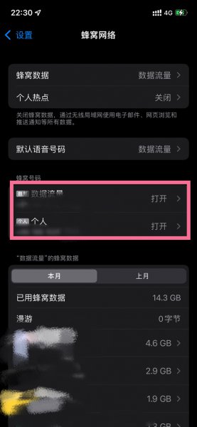 苹果12怎么把5g改成4g
