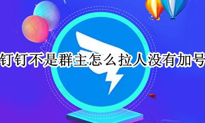 钉钉群里没有加号 钉钉不是群主怎么拉人没有加号