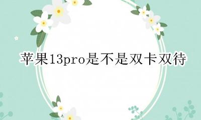 苹果13pro是双卡双待么 苹果13pro是不是双卡双待