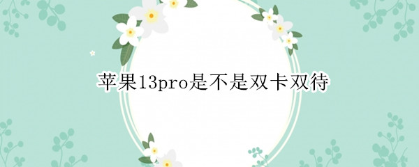 苹果13pro是不是双卡双待