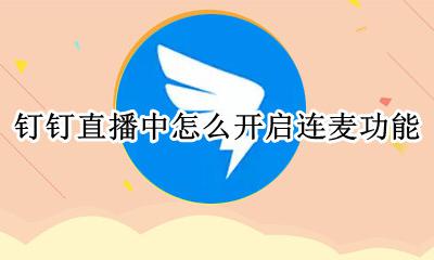 钉钉直播怎样开启连麦功能 钉钉直播中怎么开启连麦功能