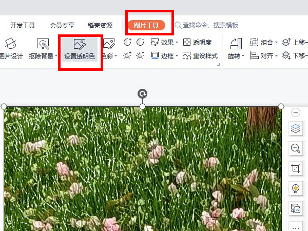 ppt中把图片背景透明