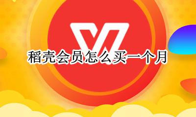 稻壳会员怎么买一个月 稻壳会员怎么开一个月的会员