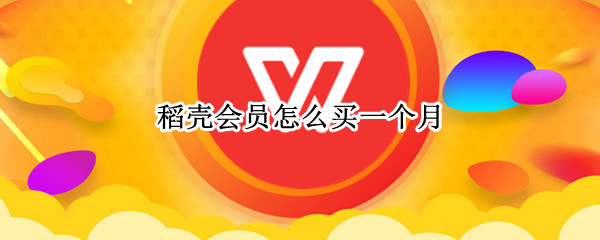 稻壳会员怎么买一个月