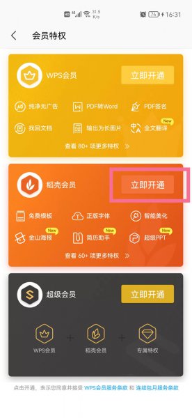 稻壳会员怎么买一个月