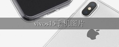 vivos15手机图片 vivoy15手机图片