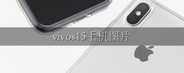 vivos15手机图片
