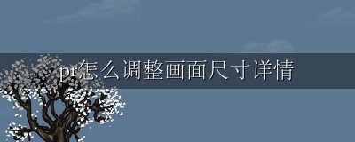 pr画面大小怎么调整 pr怎么调整画面尺寸详情