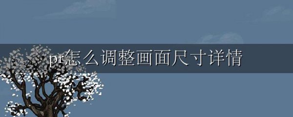 pr怎么调整画面尺寸详情