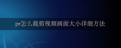 pr中怎么裁剪视频大小 pr怎么裁剪视频画面大小详细方法